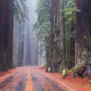 Meet your Posher, Blue